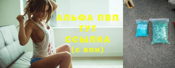 твердый Аркадак