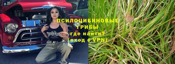дмт Арсеньев